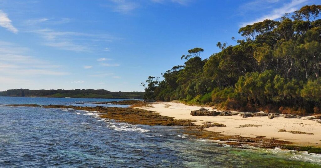South Coast Charmer in Jervis Bay