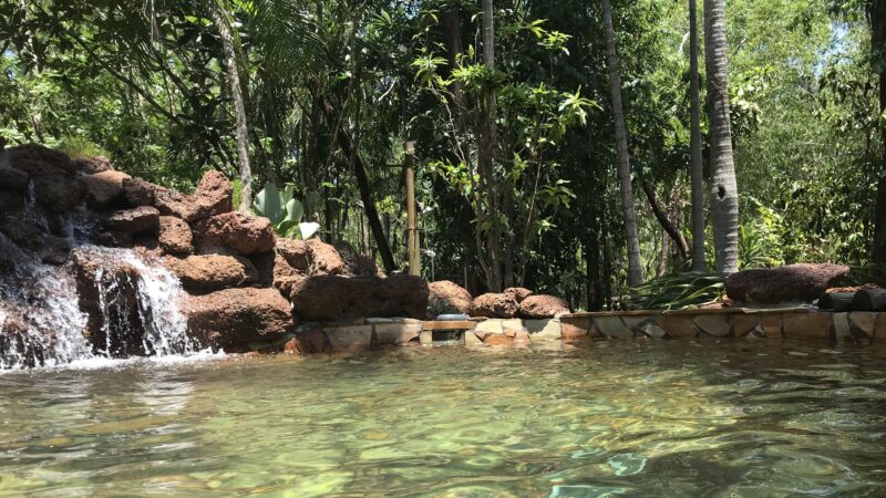 Tropical Oasis in the Northern Rivers