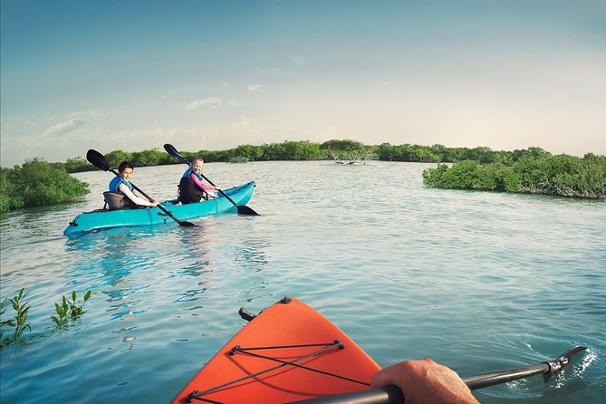 Discover Abu Dhabi's Mangroves by Kayak