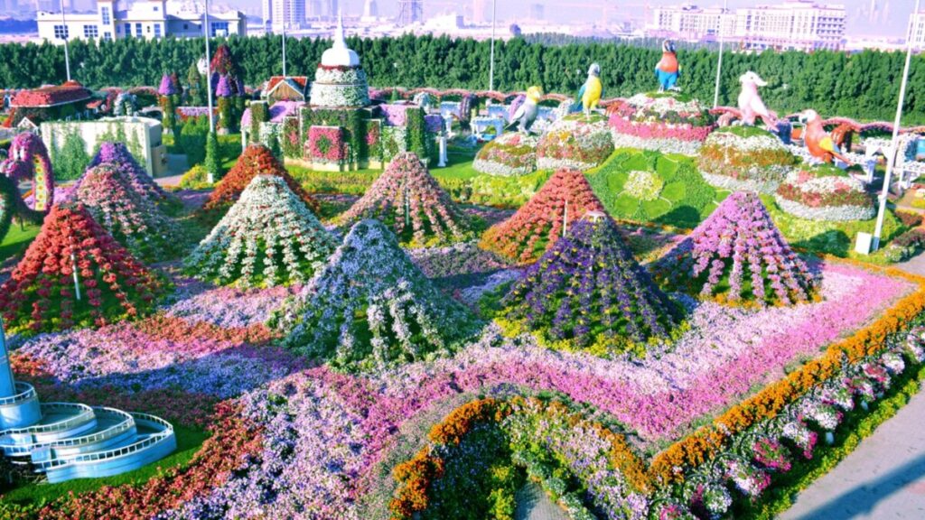 Dubai Miracle Garden - Floral Wonderland