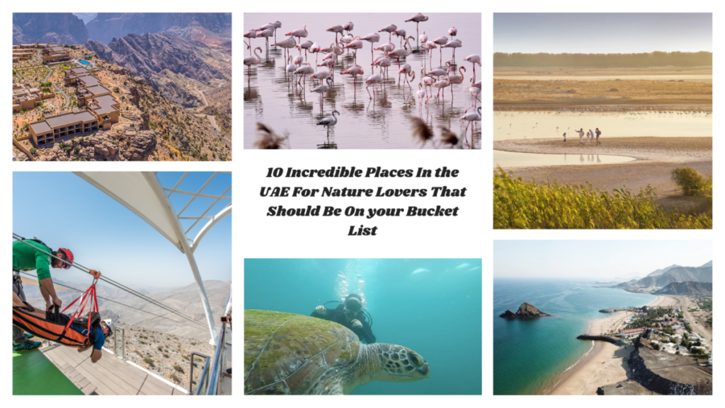 10 Incredible Places In the UAE For Nature Lovers That Should Be on Your Bucket List