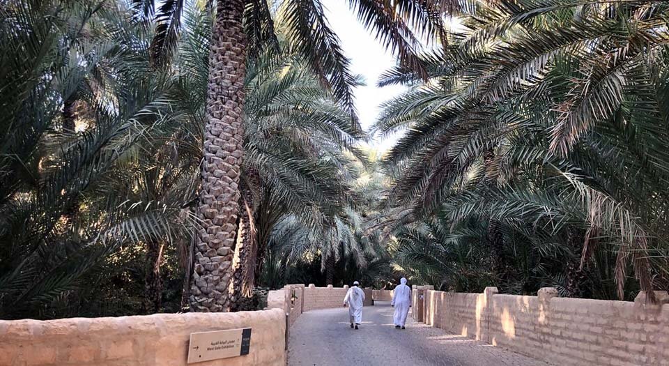 Hike Through the Al-Ain Oasis