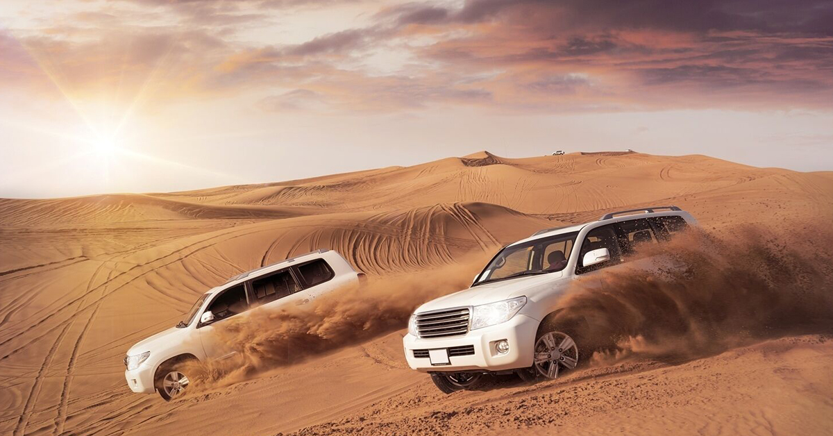 Safari Adventures in Dubai