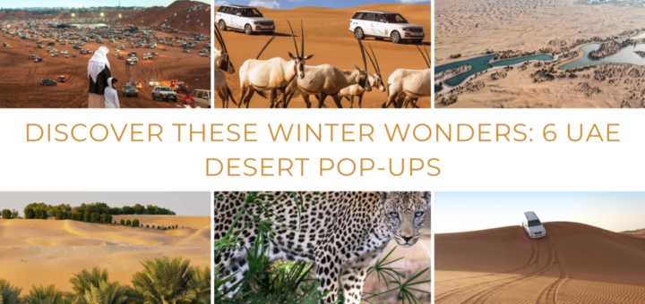 Discover These Winter Wonders: 6 UAE Desert Pop-Ups