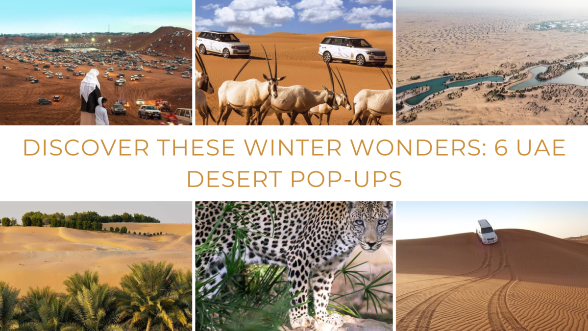 Discover These Winter Wonders: 6 UAE Desert Pop-Ups