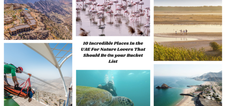 10 Incredible Places In the UAE For Nature Lovers That Should Be on Your Bucket List