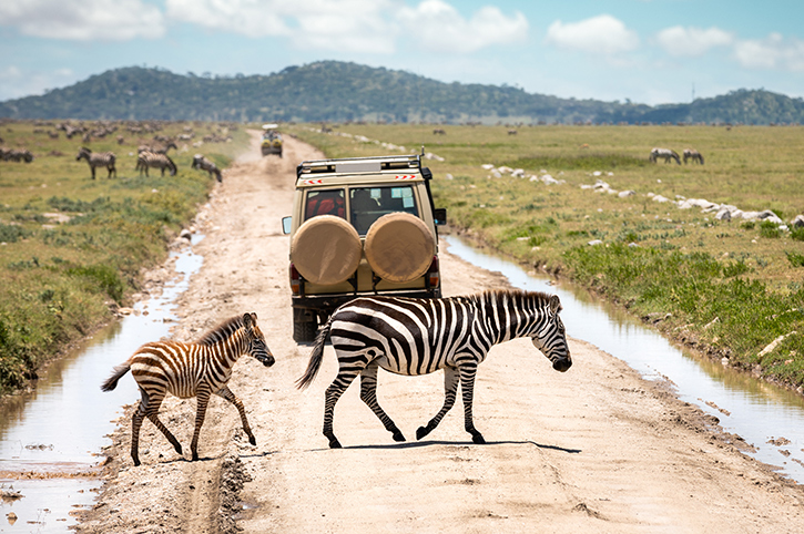 Safari in the Serengeti, Tanzania