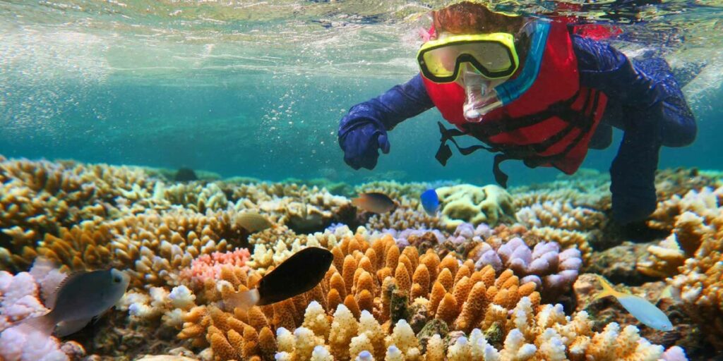 Diving in the Great Barrier Reef, Australia